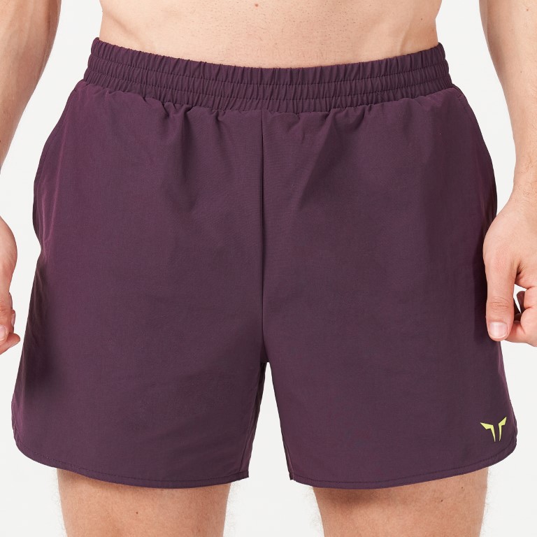 Lab360° TDry™ Tech 2-in-1 Shorts - Plum Perfect